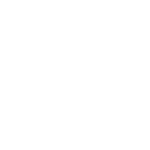 np_lunch_4395275_FFFFFF